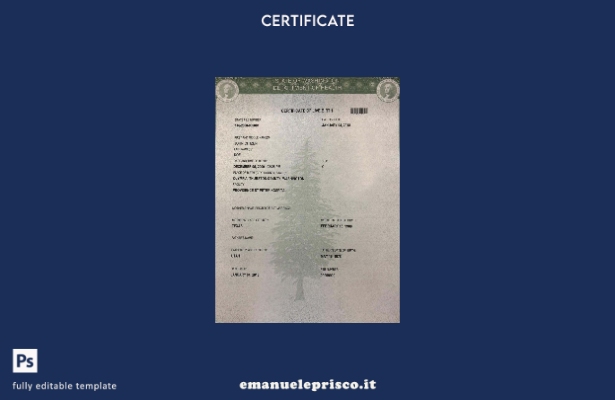 stile verificato Modello di certificato di nascita dell'ospedale St Peter del Di